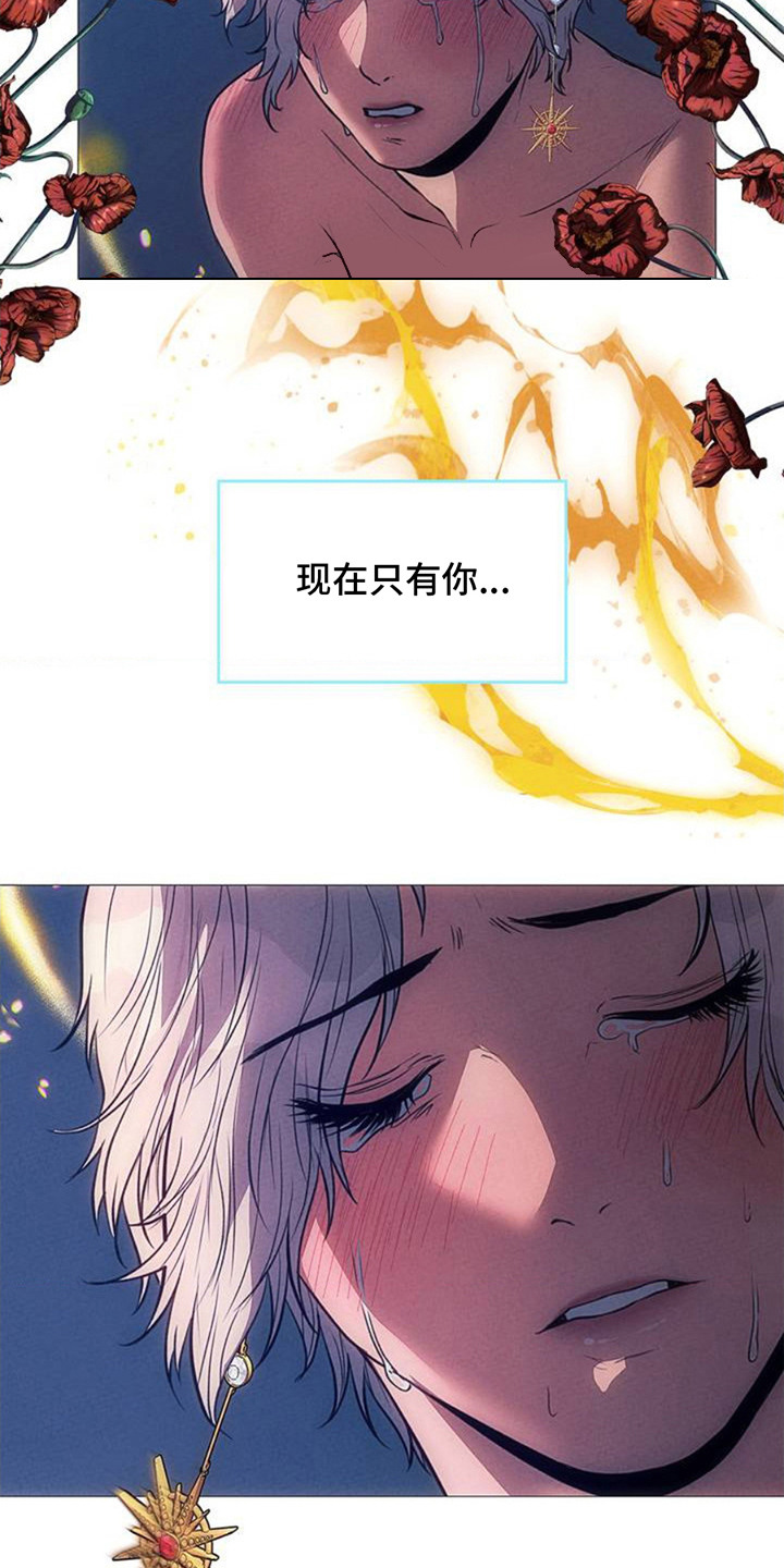 漫画《歌剧邪影》在线完整版阅读_歌剧邪影漫画（无弹窗）