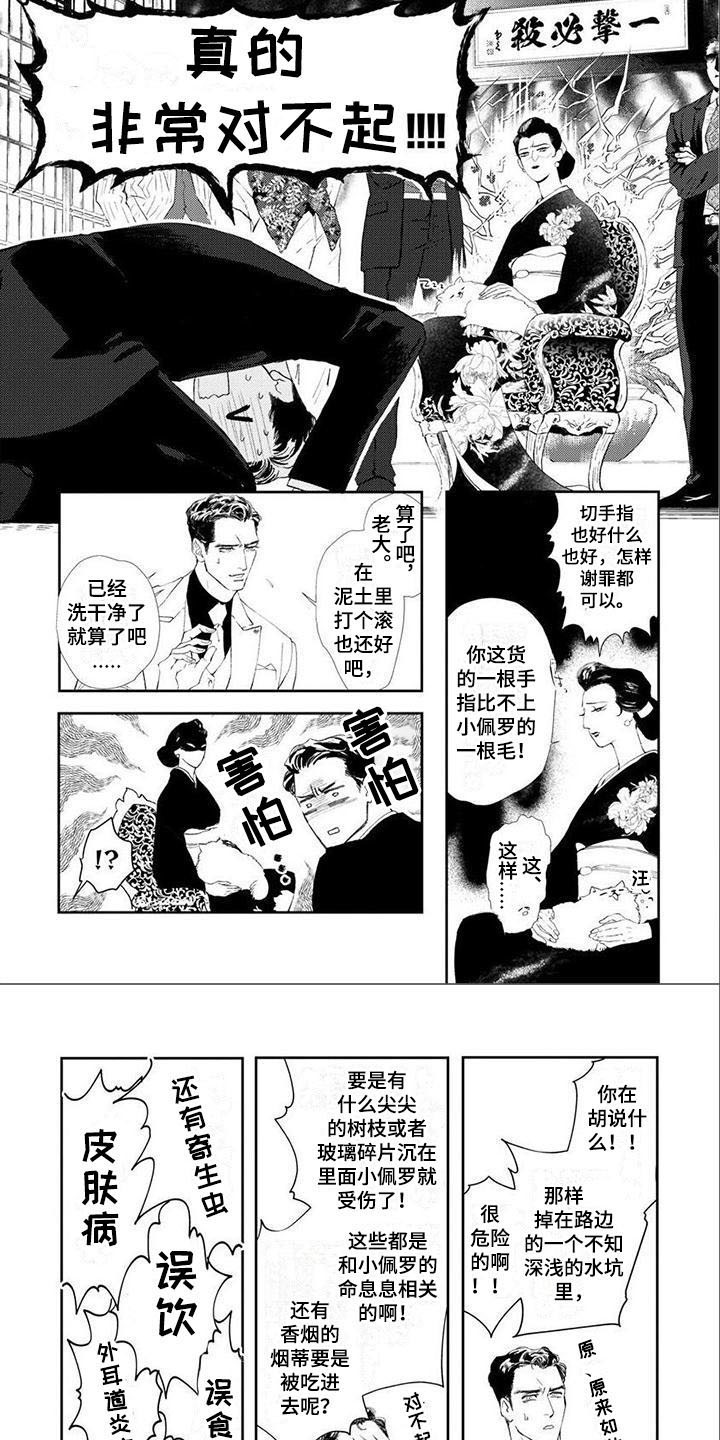 西柚《犬系爱人》漫画在线下拉_犬系爱人漫画浮云（下拉式阅读）