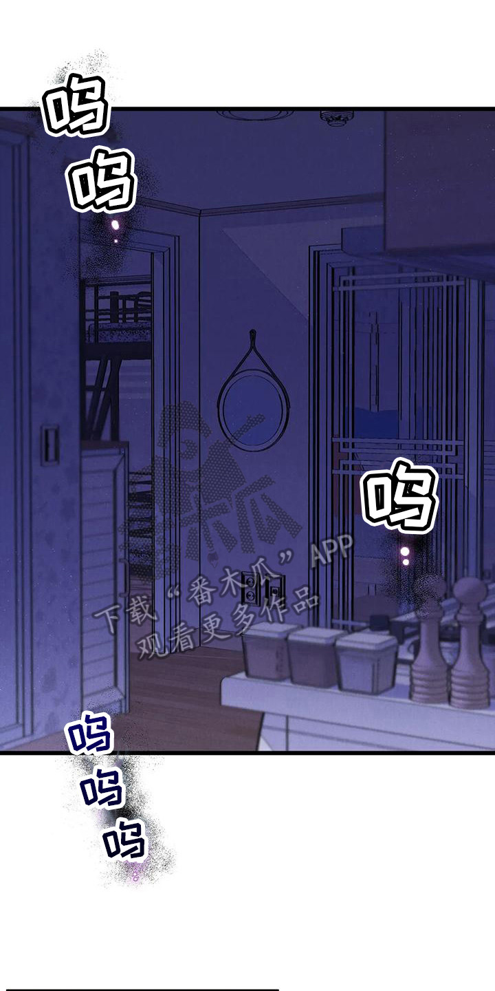 西柚《太阳花》漫画在线下拉_太阳花漫画浮云（下拉式阅读）