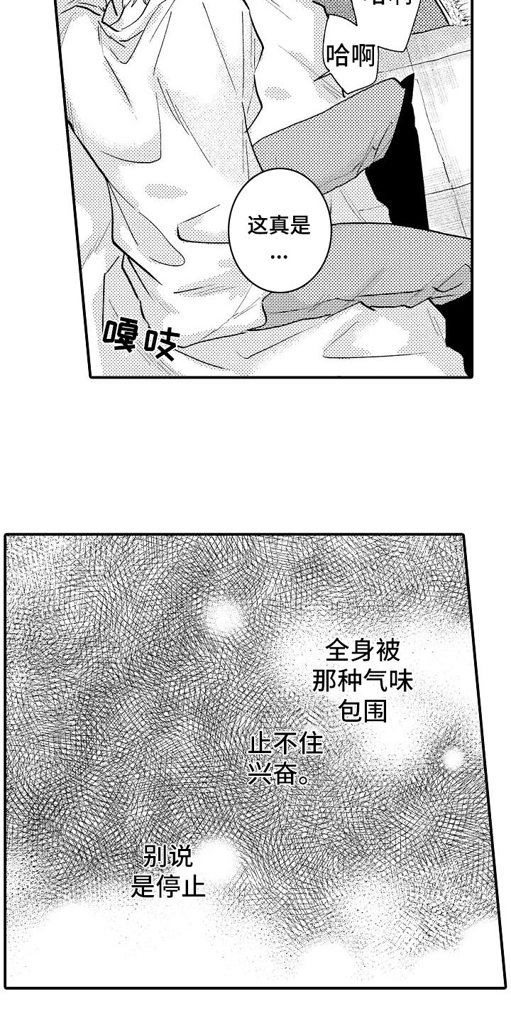 漫画《神之泪》在线完整版阅读_神之泪漫画（无弹窗）