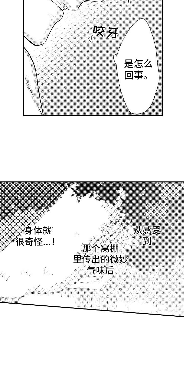 漫画《神之泪》在线完整版阅读_神之泪漫画（无弹窗）