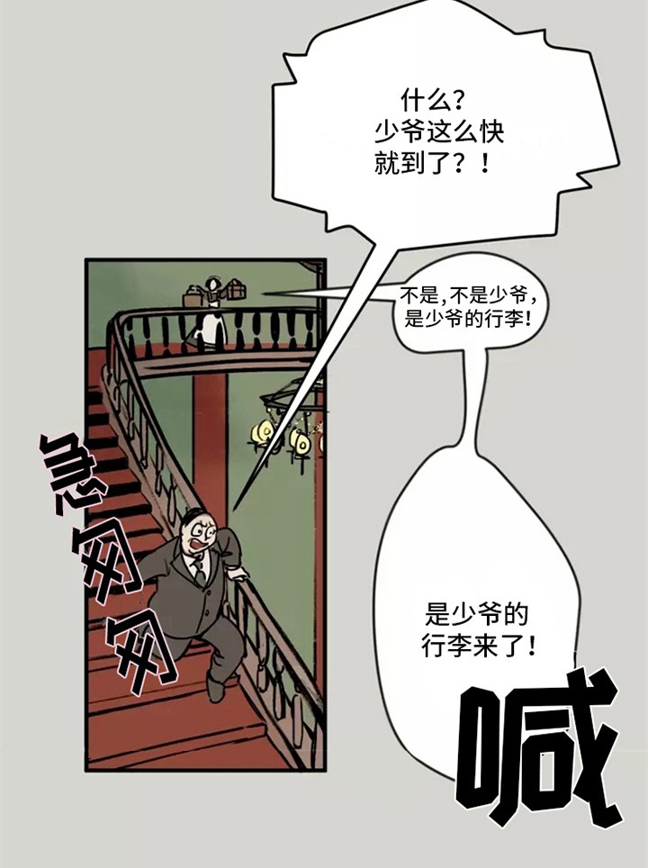 漫画《贵族私生子》在线完整版阅读_贵族私生子漫画（无弹窗）