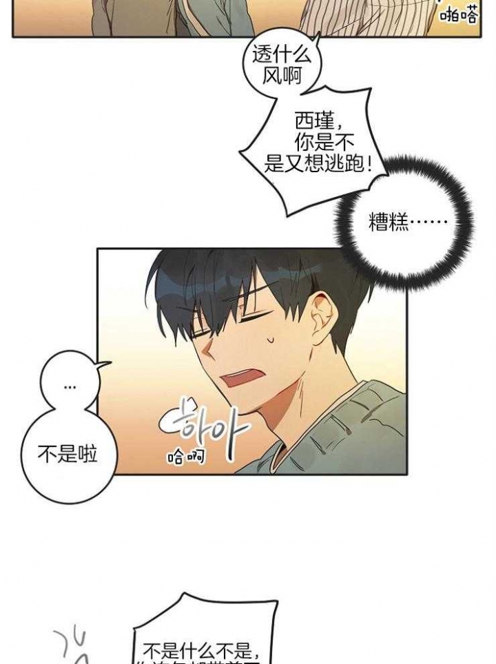 漫画《灵魂互换》在线完整版阅读_灵魂互换漫画（无弹窗）