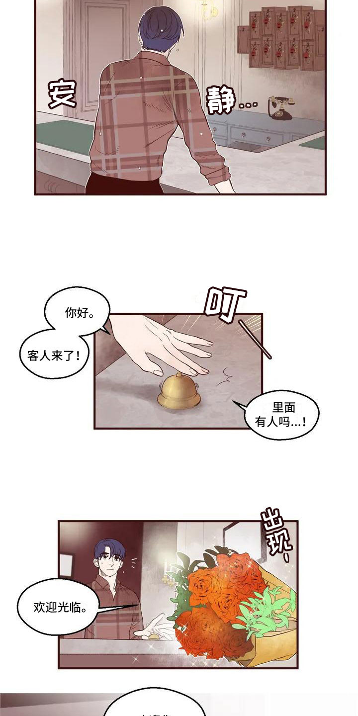 漫画《我的十二位哥哥》在线完整版阅读_我的十二位哥哥漫画（无弹窗）