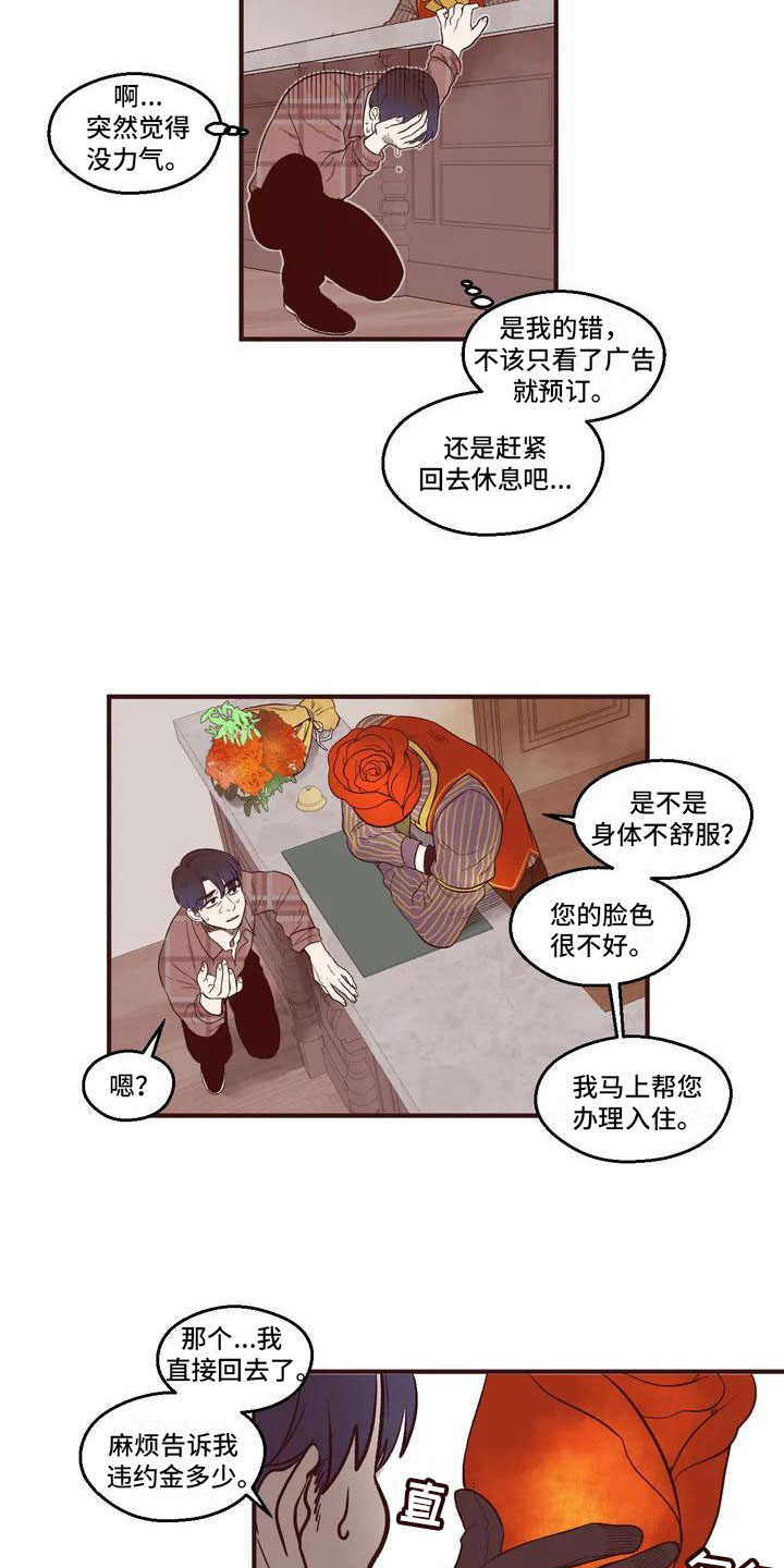 漫画《我的十二位哥哥》在线完整版阅读_我的十二位哥哥漫画（无弹窗）