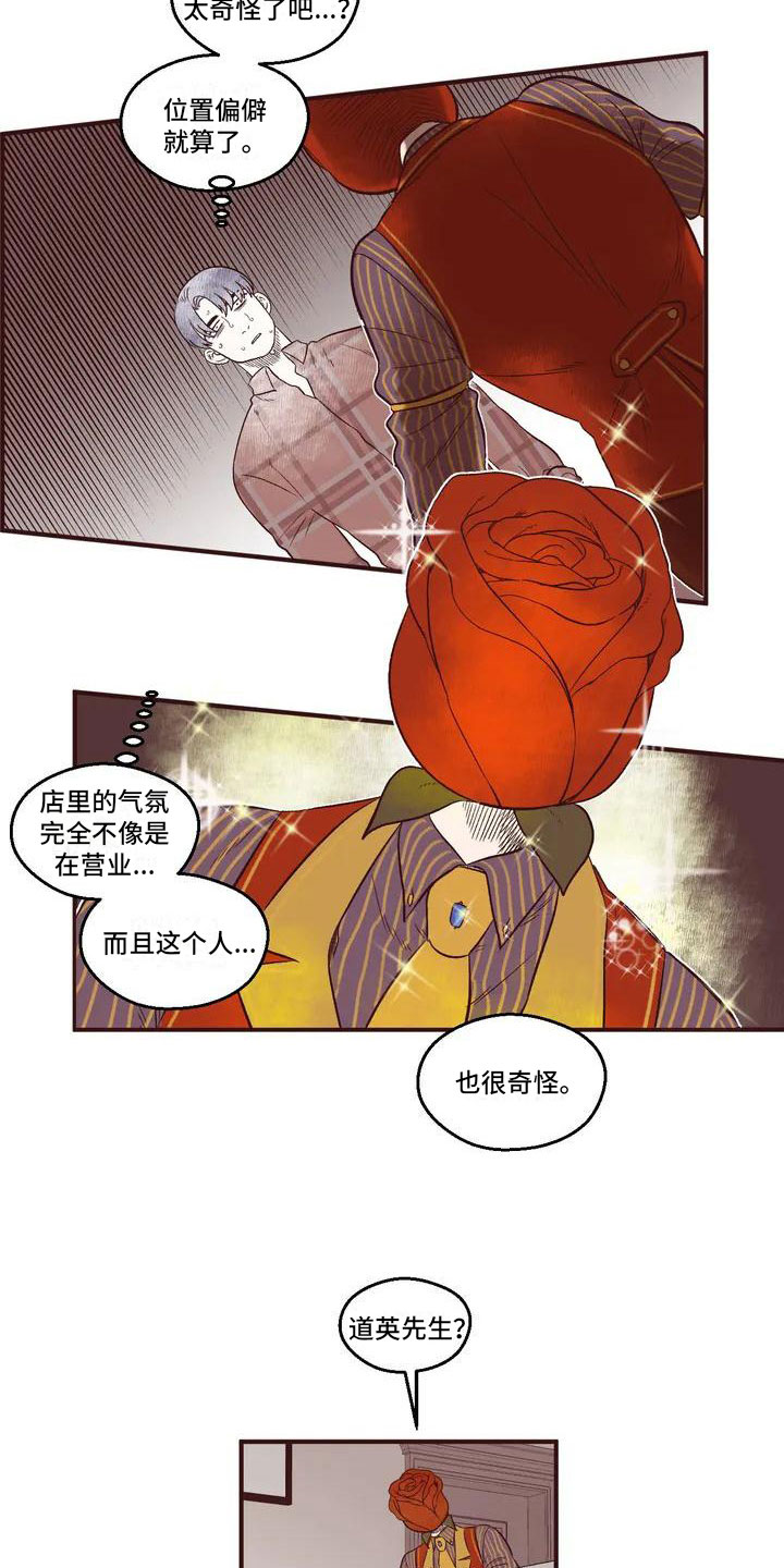 漫画《我的十二位哥哥》在线完整版阅读_我的十二位哥哥漫画（无弹窗）