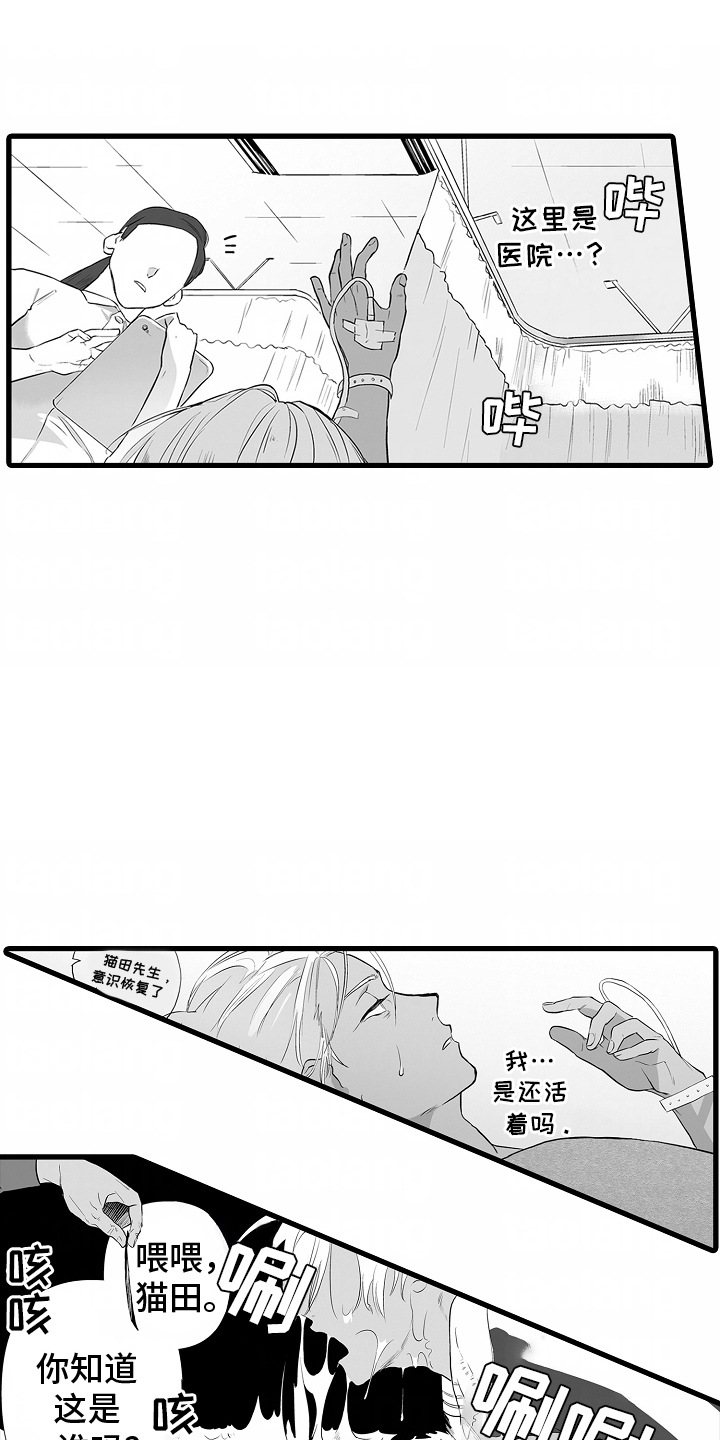 西柚《坠入迷失的黑暗》漫画在线下拉_坠入迷失的黑暗漫画浮云（下拉式阅读）