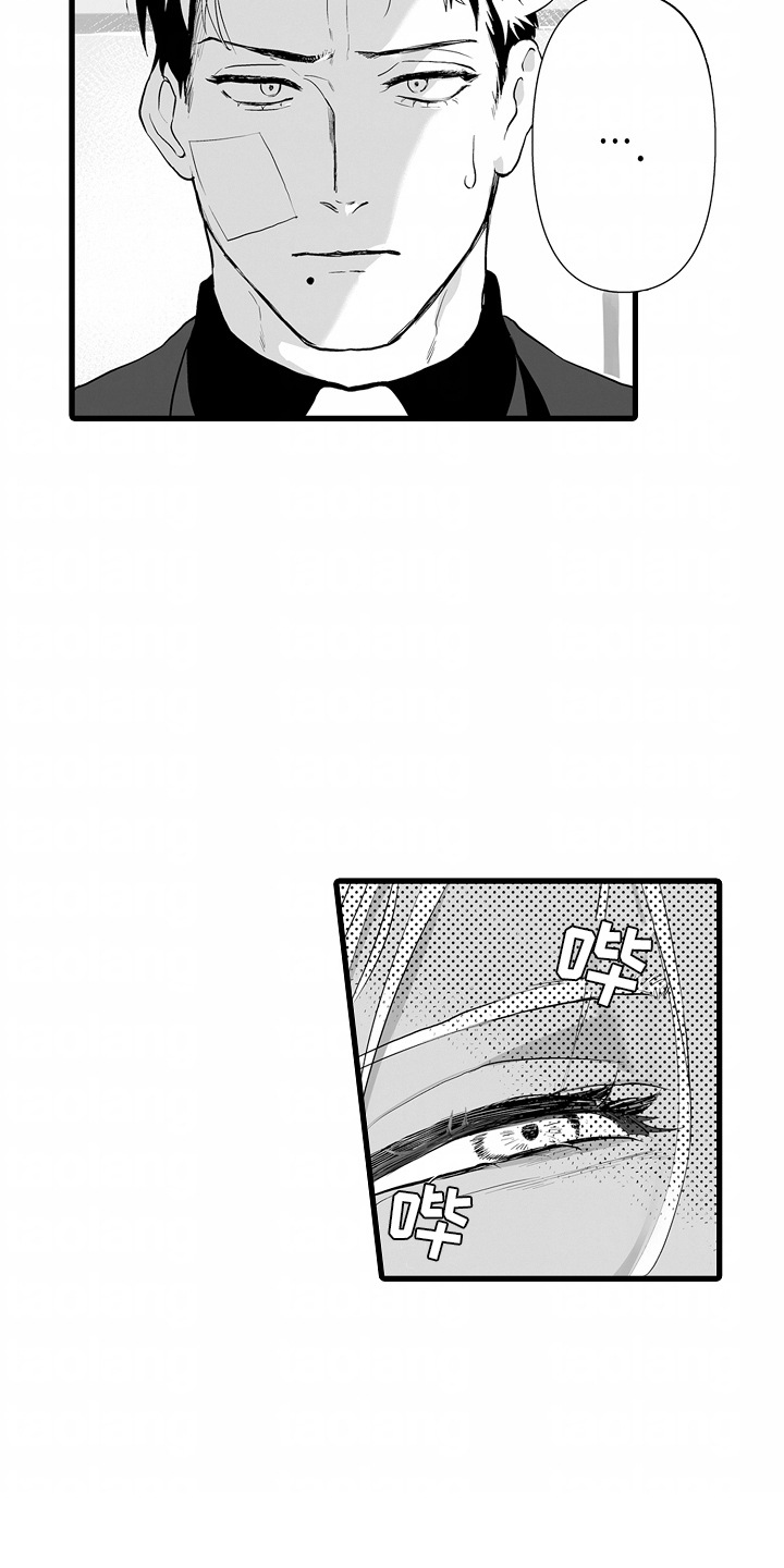 西柚《坠入迷失的黑暗》漫画在线下拉_坠入迷失的黑暗漫画浮云（下拉式阅读）