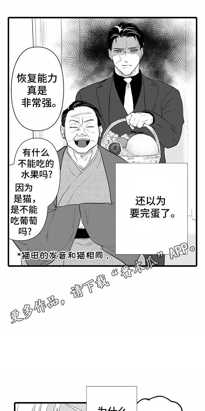 西柚《坠入迷失的黑暗》漫画在线下拉_坠入迷失的黑暗漫画浮云（下拉式阅读）