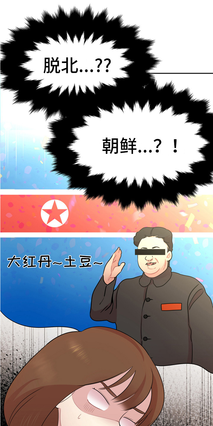 兔兔与灰熊