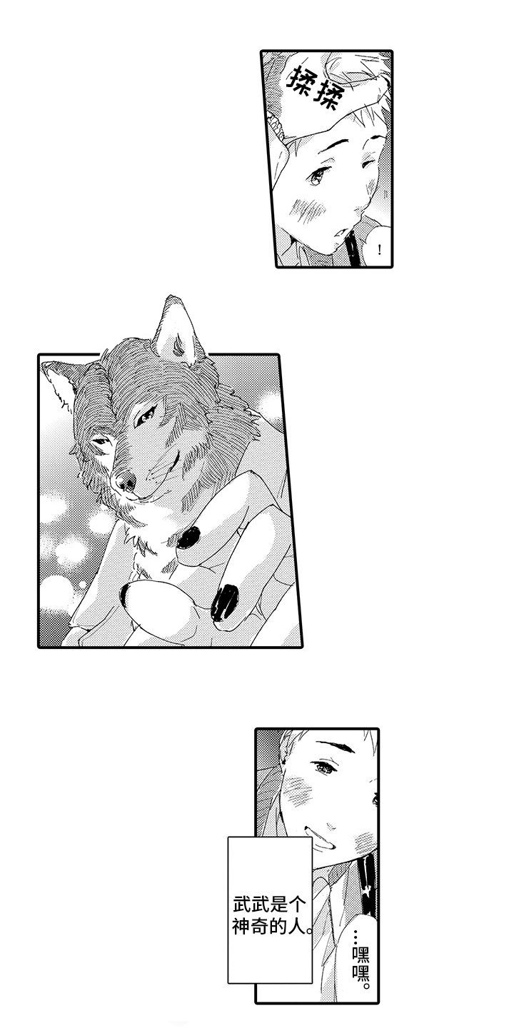 西柚《春野与狼独舞》漫画在线下拉_春野与狼独舞漫画浮云（下拉式阅读）