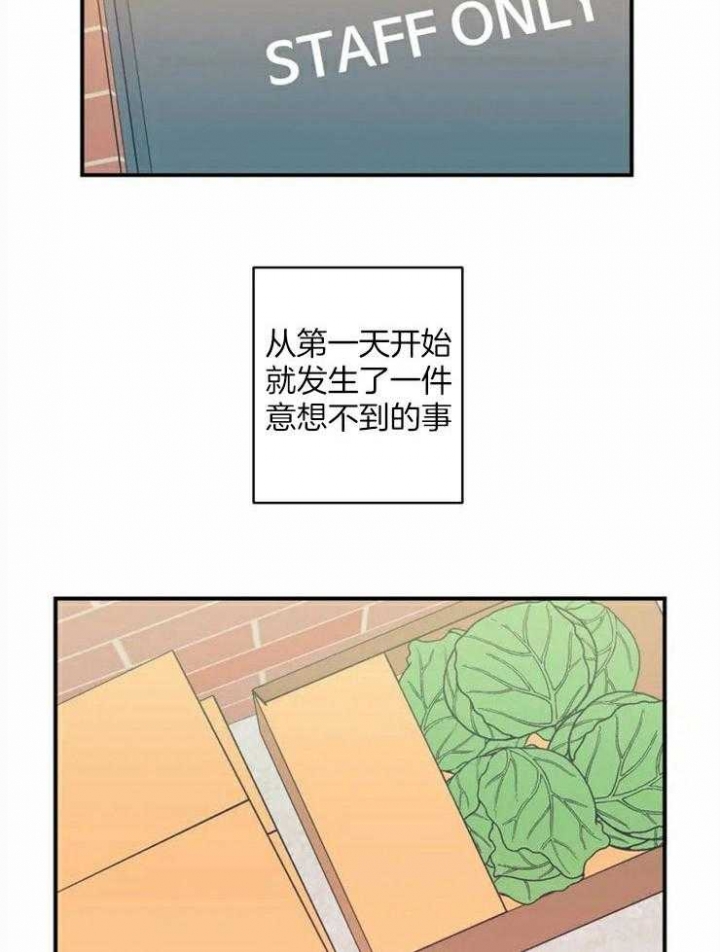 漫画《另类的爱情》在线完整版阅读_另类的爱情漫画（无弹窗）