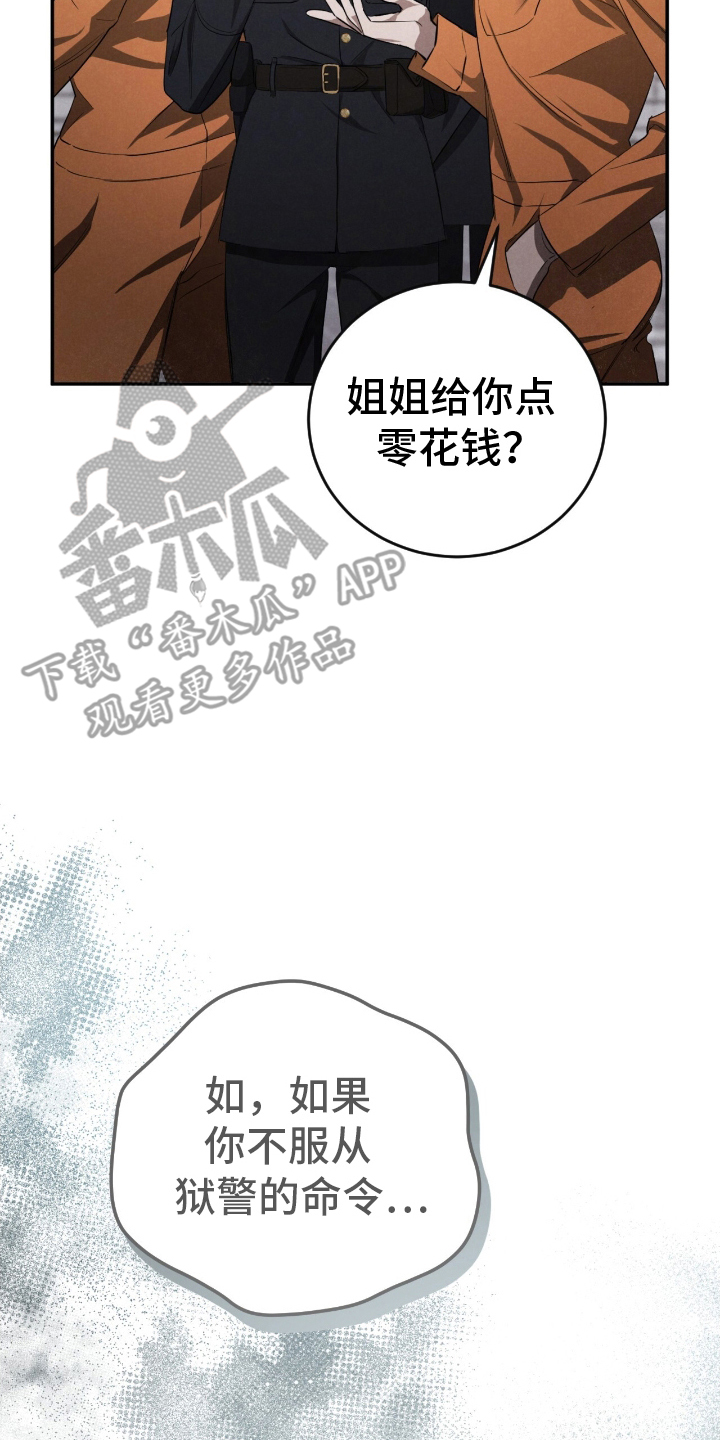 漫画《迷你猫的真相》在线完整版阅读_迷你猫的真相漫画（无弹窗）