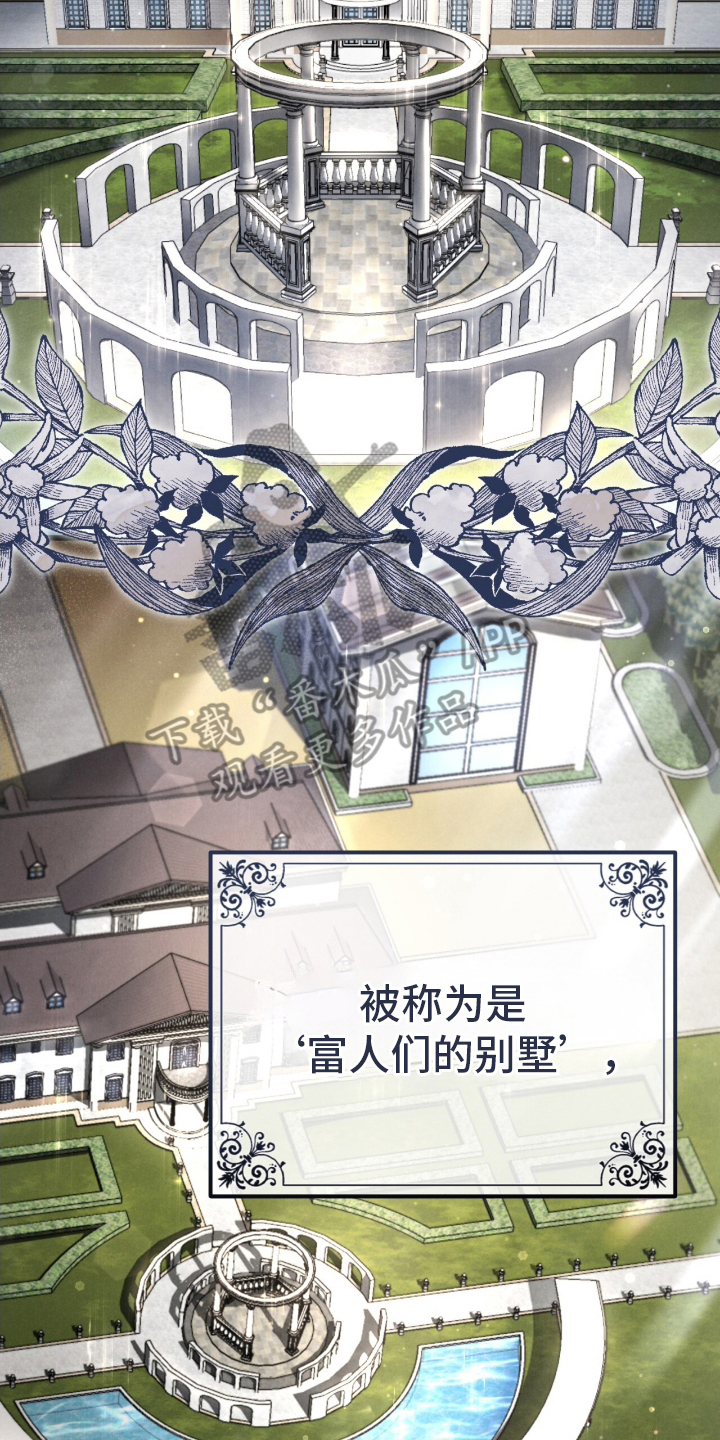 漫画《迷你猫的真相》在线完整版阅读_迷你猫的真相漫画（无弹窗）