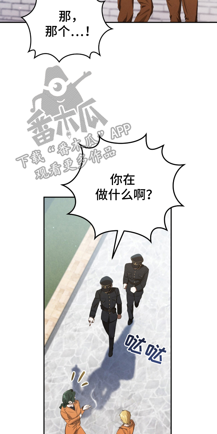 漫画《迷你猫的真相》在线完整版阅读_迷你猫的真相漫画（无弹窗）