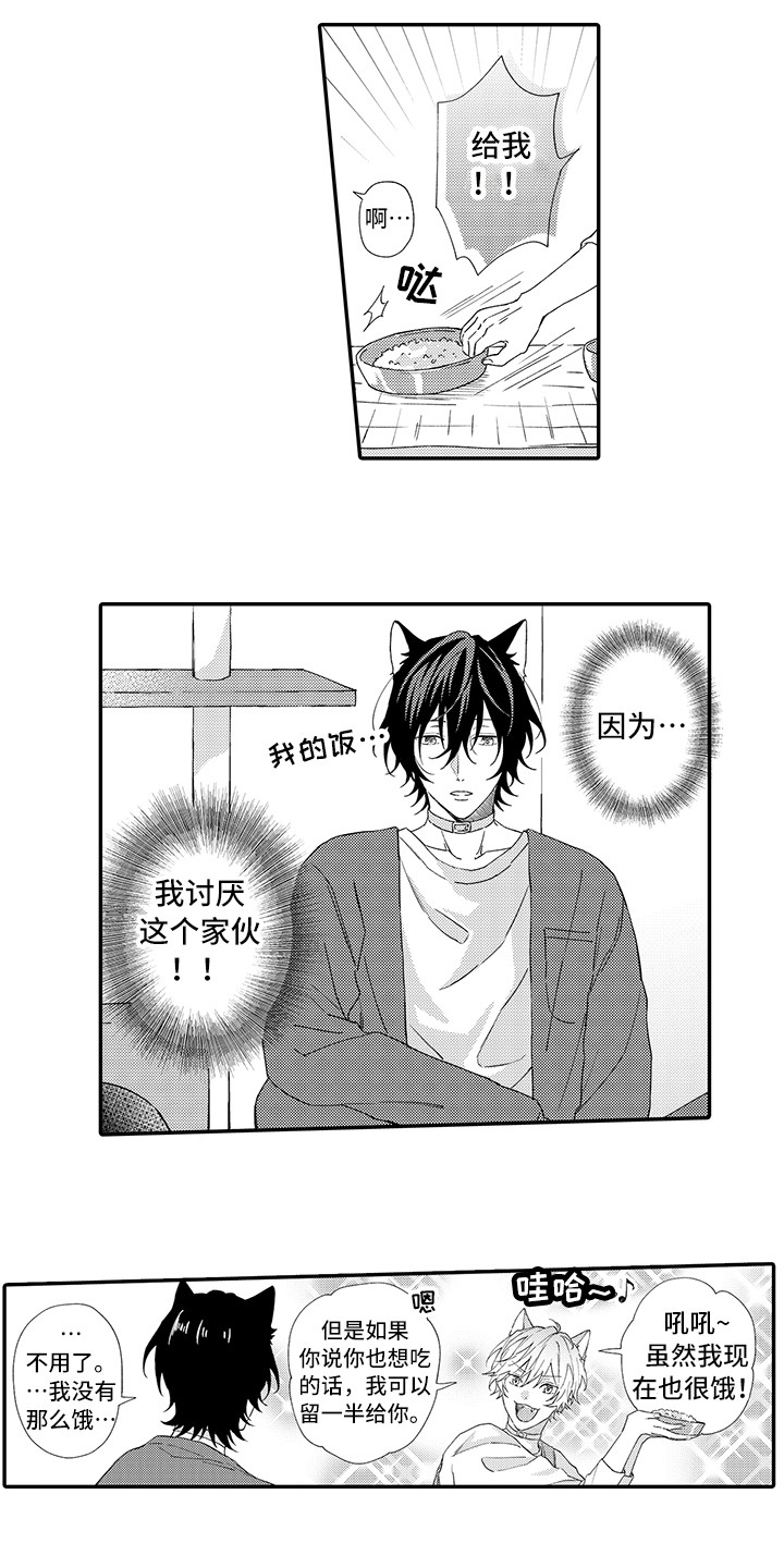 西柚《猫咪之家》漫画在线下拉_猫咪之家漫画浮云（下拉式阅读）
