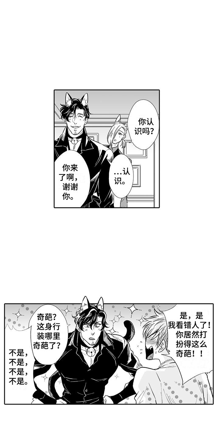 西柚《我的小奶猫》漫画在线下拉_我的小奶猫漫画浮云（下拉式阅读）