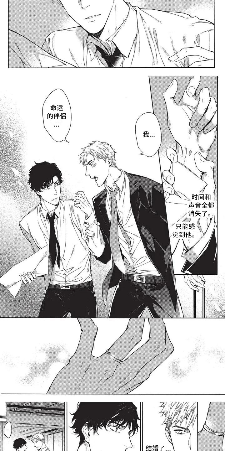 漫画《命定的他》在线完整版阅读_命定的他漫画（无弹窗）