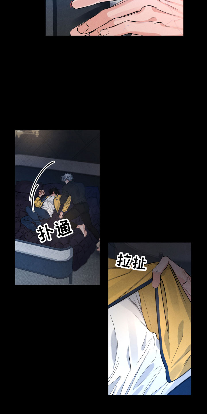 漫画《流星落入掌中》在线完整版阅读_流星落入掌中漫画（无弹窗）
