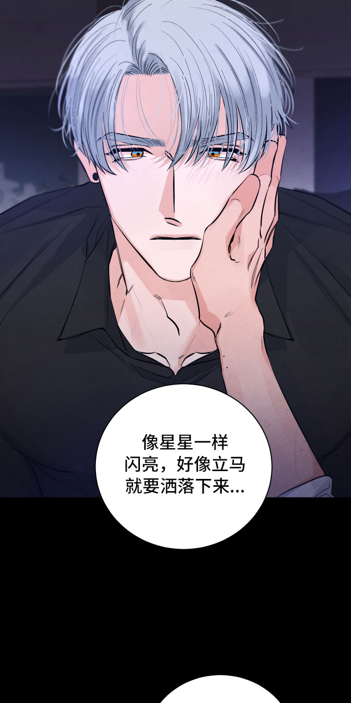 漫画《流星落入掌中》在线完整版阅读_流星落入掌中漫画（无弹窗）