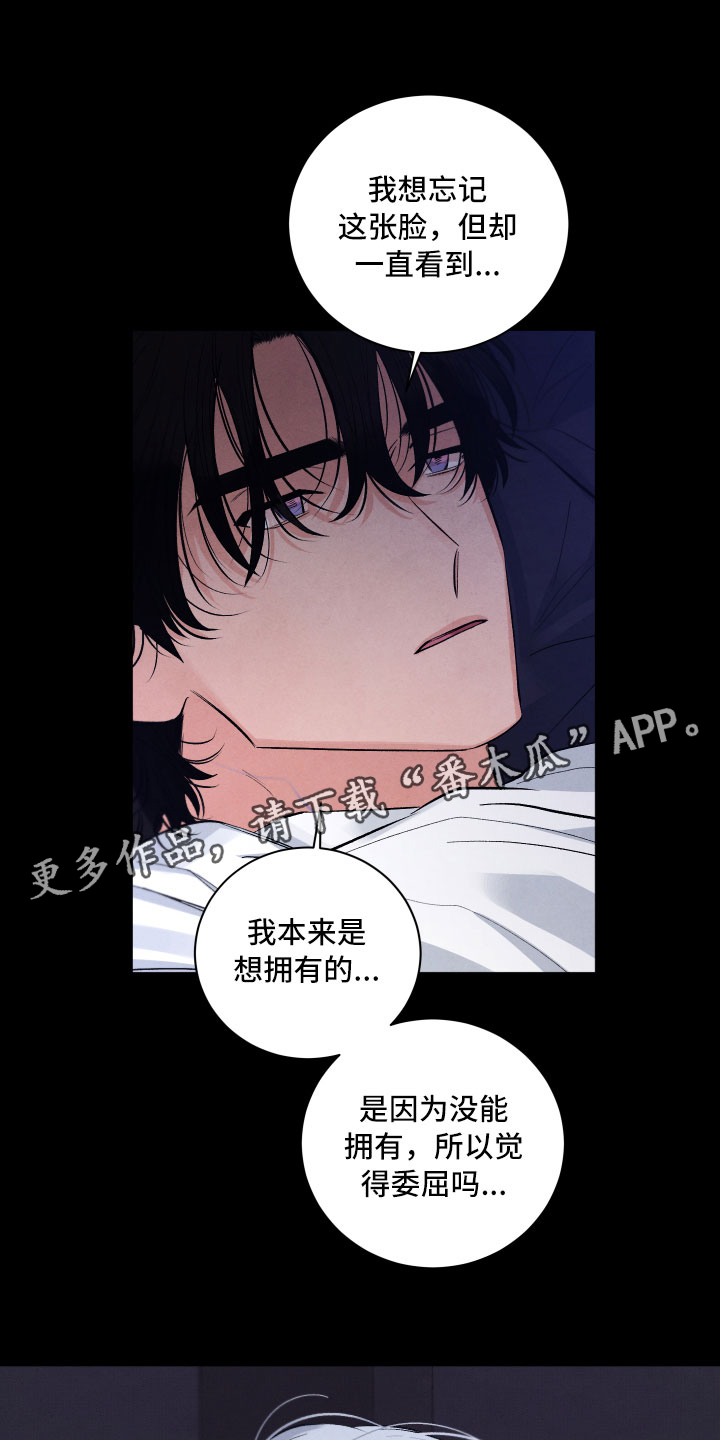 漫画《流星落入掌中》在线完整版阅读_流星落入掌中漫画（无弹窗）