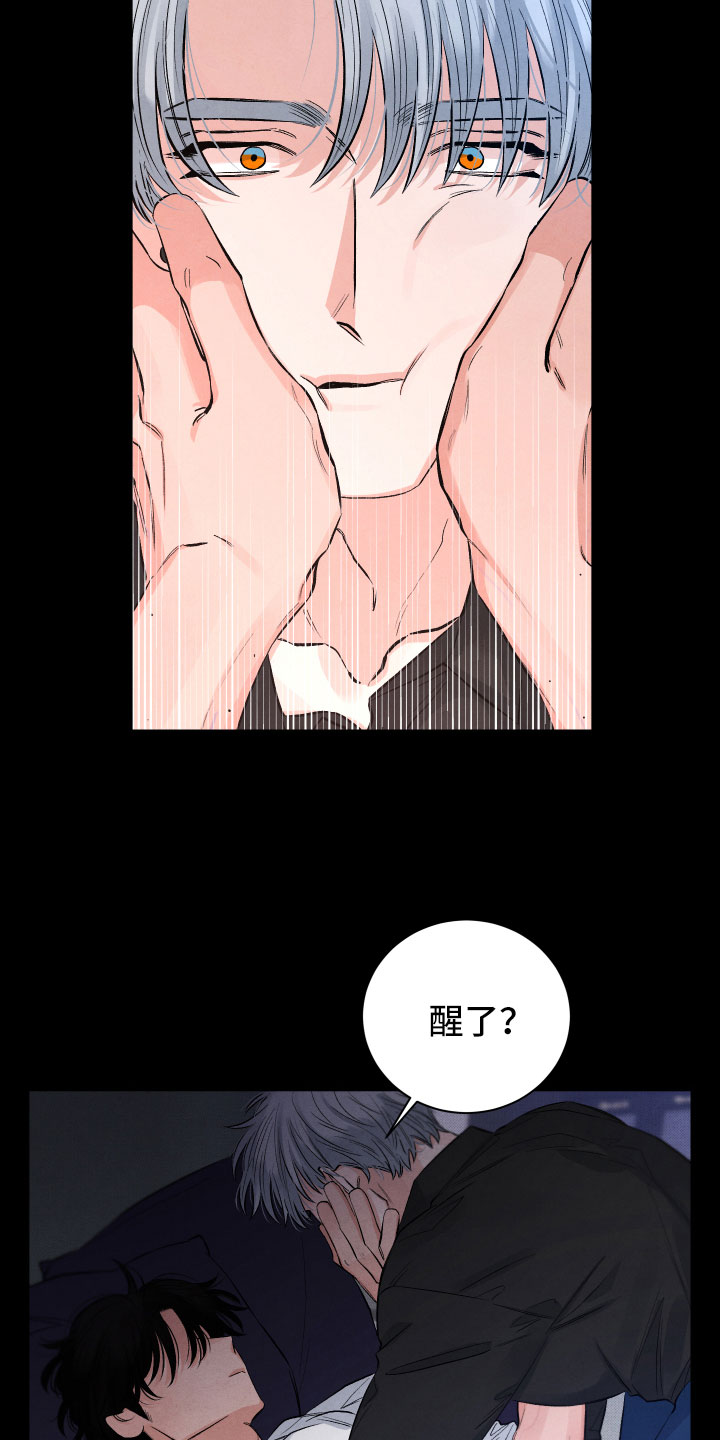 漫画《流星落入掌中》在线完整版阅读_流星落入掌中漫画（无弹窗）