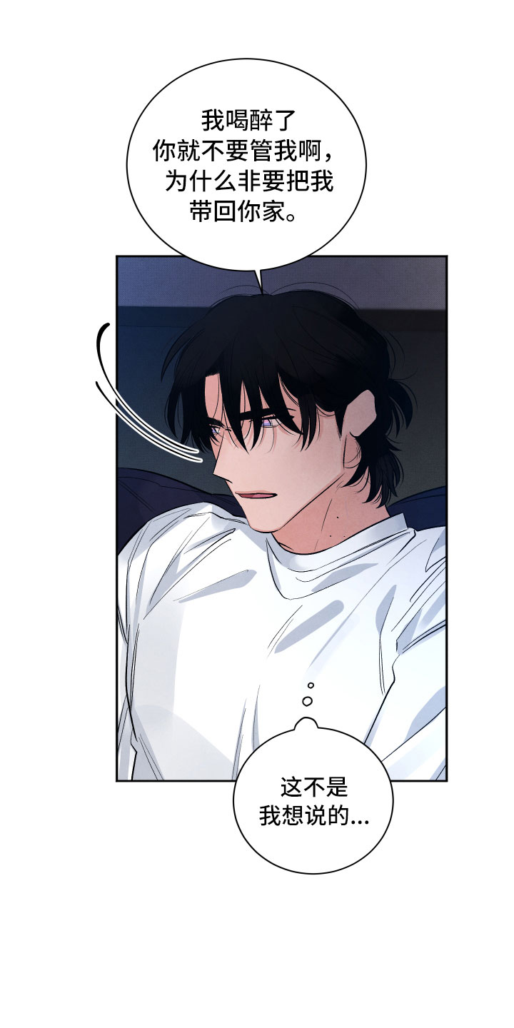 漫画《流星落入掌中》在线完整版阅读_流星落入掌中漫画（无弹窗）