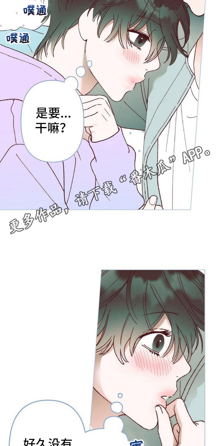 漫画《粉丝书信》在线完整版阅读_粉丝书信漫画（无弹窗）