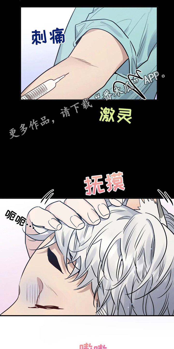 西柚《老虎观察日志》漫画在线下拉_老虎观察日志漫画浮云（下拉式阅读）