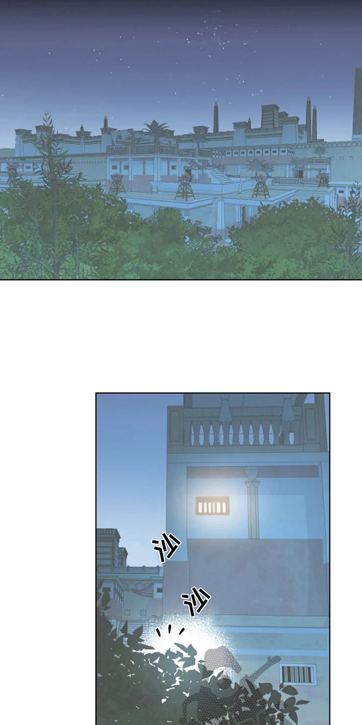 西柚《海市王国》漫画在线下拉_海市王国漫画浮云（下拉式阅读）