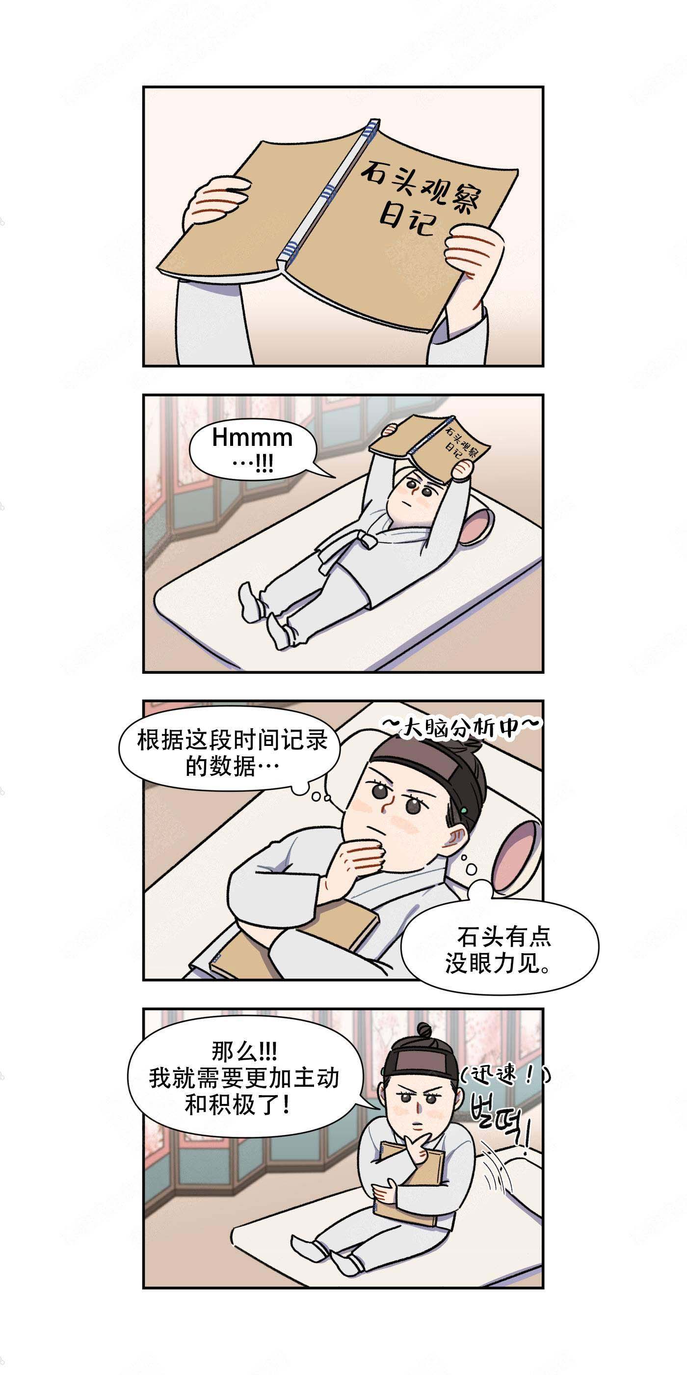 缺心眼的石头