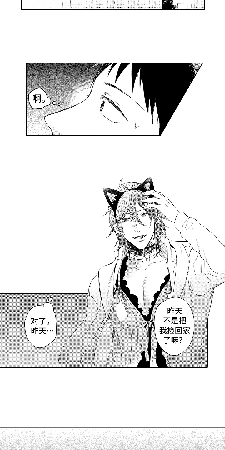 西柚《我会喵喵叫》漫画在线下拉_我会喵喵叫漫画浮云（下拉式阅读）