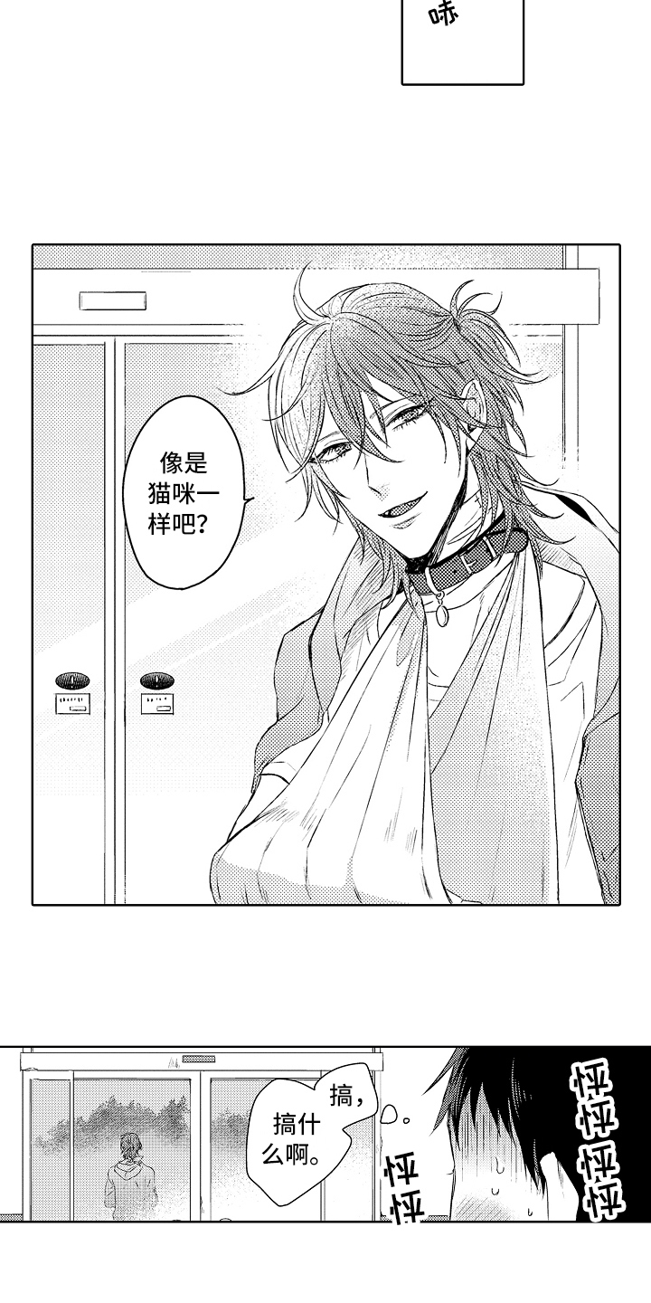 西柚《我会喵喵叫》漫画在线下拉_我会喵喵叫漫画浮云（下拉式阅读）