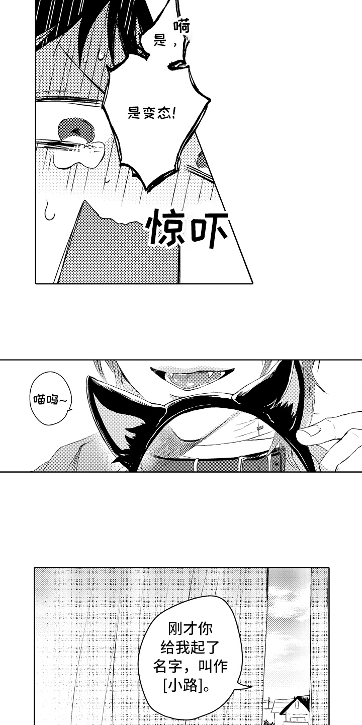 西柚《我会喵喵叫》漫画在线下拉_我会喵喵叫漫画浮云（下拉式阅读）