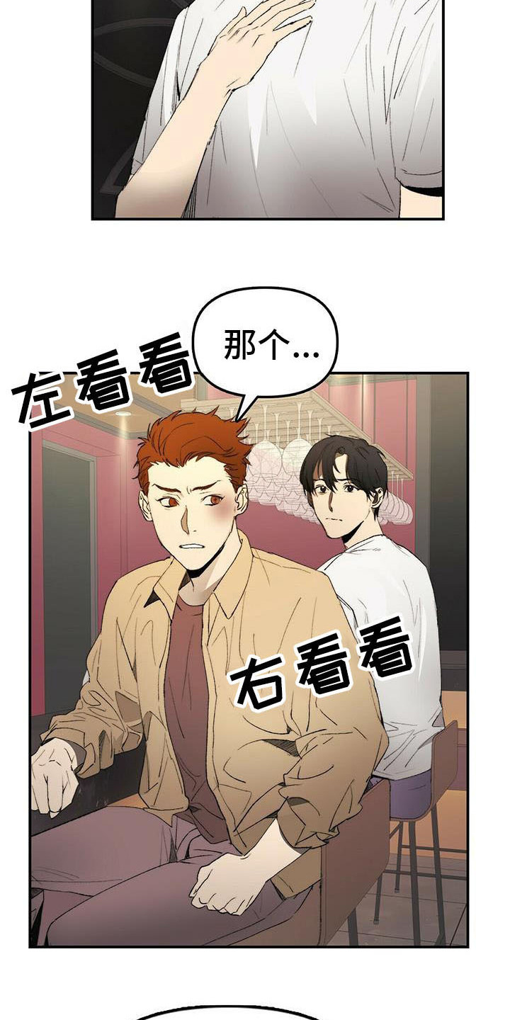 漫画《钻石神偷》在线完整版阅读_钻石神偷漫画（无弹窗）