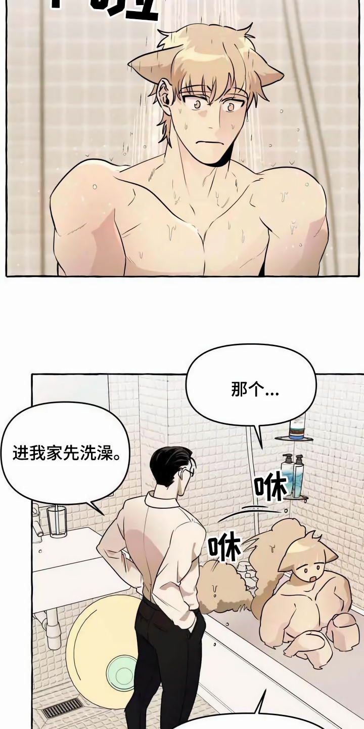 漫画《忠犬三三》在线完整版阅读_忠犬三三漫画（无弹窗）