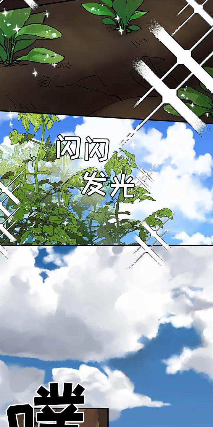 漫画《天降种田王》在线完整版阅读_天降种田王漫画（无弹窗）