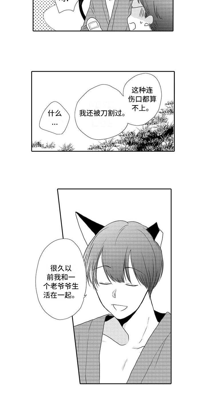 山神是猫妖