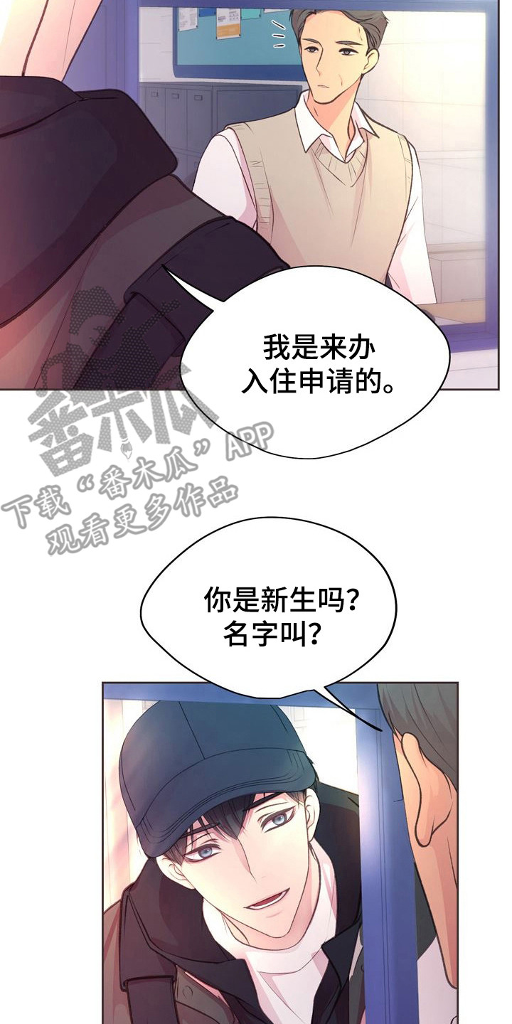 漫画《命运伴侣》在线完整版阅读_命运伴侣漫画（无弹窗）