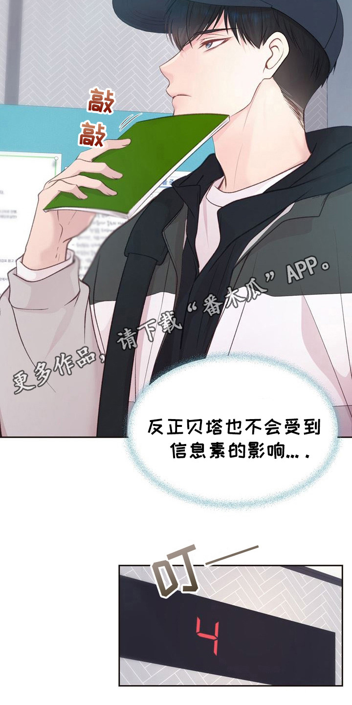 漫画《命运伴侣》在线完整版阅读_命运伴侣漫画（无弹窗）
