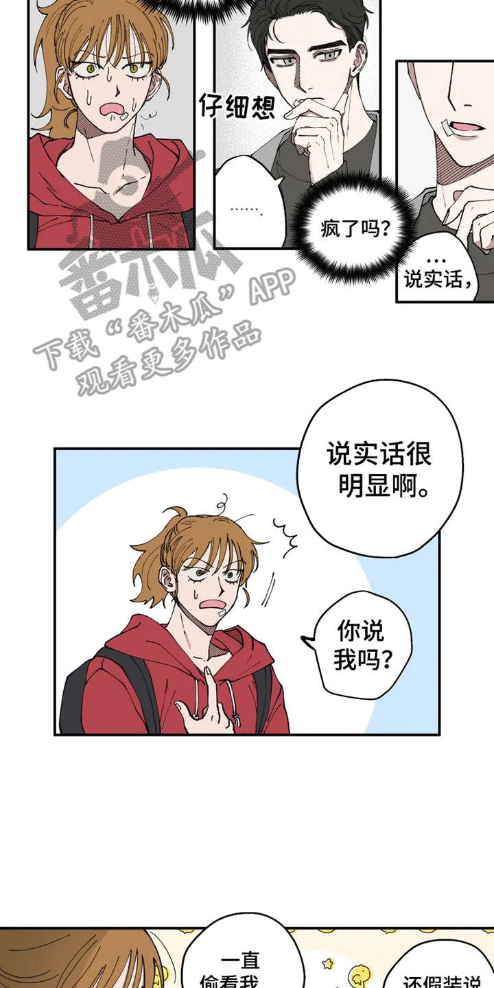 漫画《炽热追求》在线完整版阅读_炽热追求漫画（无弹窗）