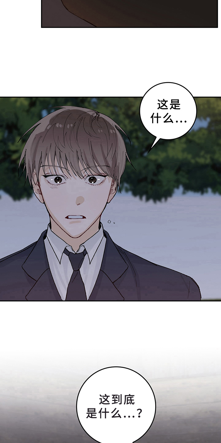 漫画《灵感与期待》在线完整版阅读_灵感与期待漫画（无弹窗）