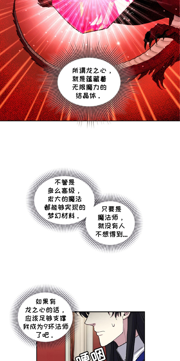 漫画《龙的魔法师》在线完整版阅读_龙的魔法师漫画（无弹窗）