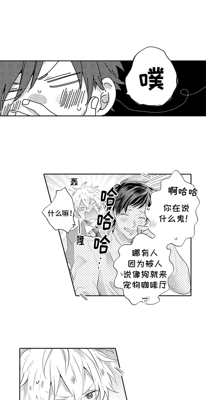 无法隐藏的爱