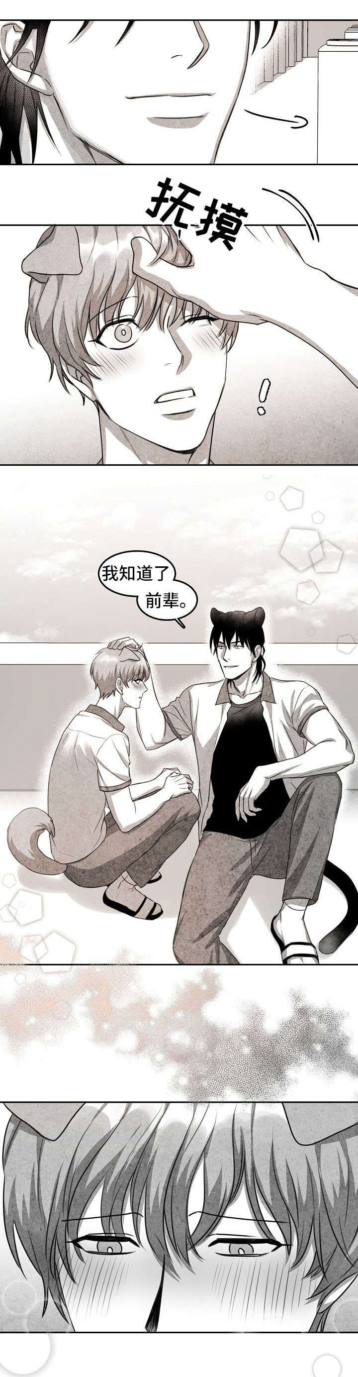 漫画《为爱而狂》在线完整版阅读_为爱而狂漫画（无弹窗）