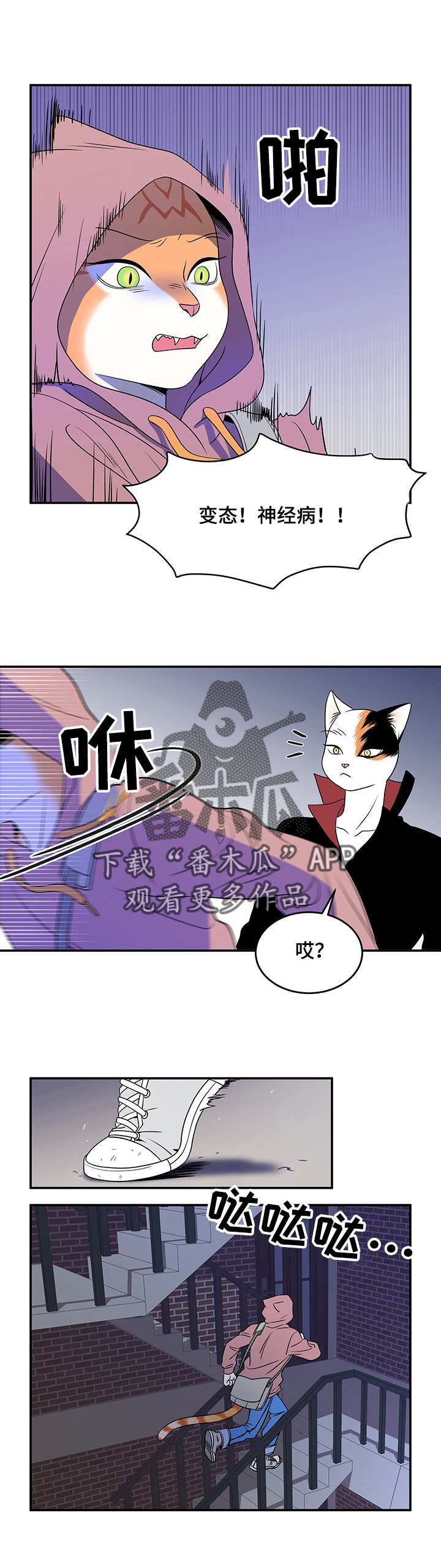 漫画《灵猫欧米伽》在线完整版阅读_灵猫欧米伽漫画（无弹窗）