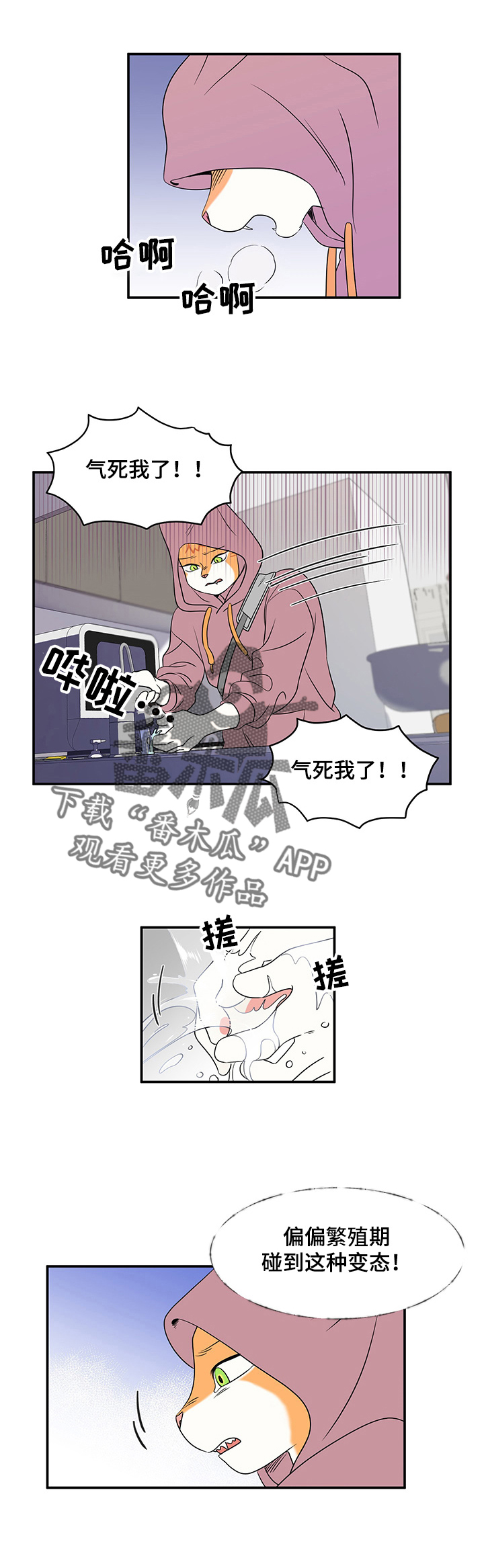 漫画《灵猫欧米伽》在线完整版阅读_灵猫欧米伽漫画（无弹窗）