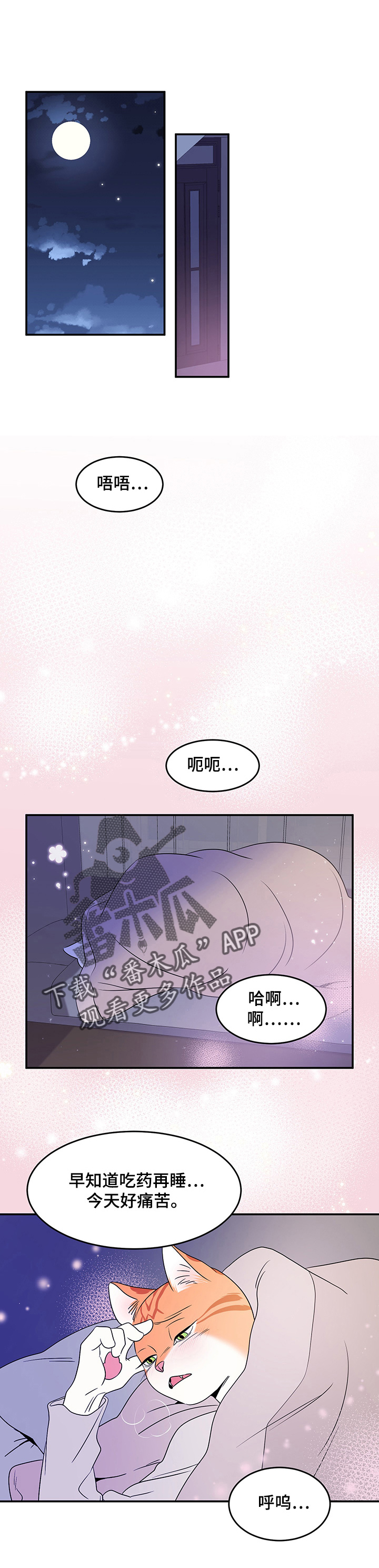 漫画《灵猫欧米伽》在线完整版阅读_灵猫欧米伽漫画（无弹窗）