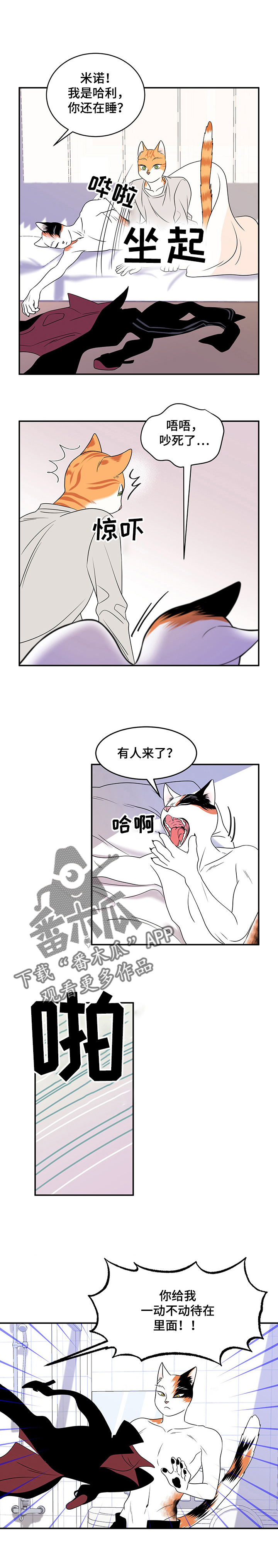 漫画《灵猫欧米伽》在线完整版阅读_灵猫欧米伽漫画（无弹窗）