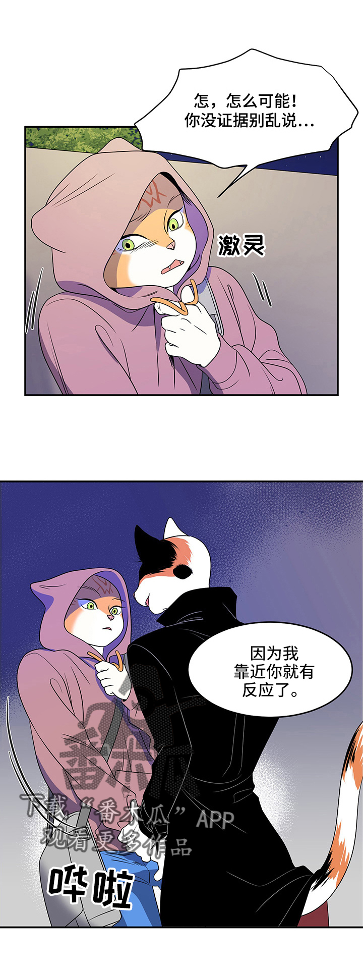 漫画《灵猫欧米伽》在线完整版阅读_灵猫欧米伽漫画（无弹窗）